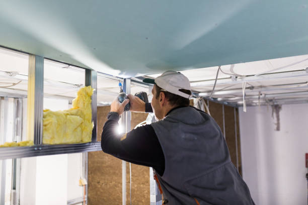 Best Residential Insulation Services  in Angier, NC