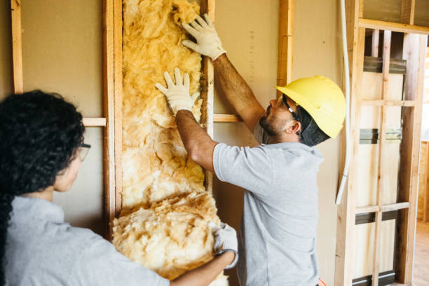 Best Cellulose Insulation  in Angier, NC