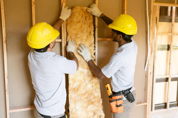 Best Home Insulation Services  in Angier, NC