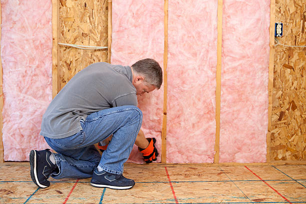 Best Insulation for New Construction  in Angier, NC
