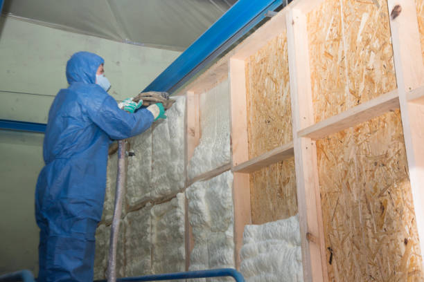 Best Insulation Inspection Services  in Angier, NC