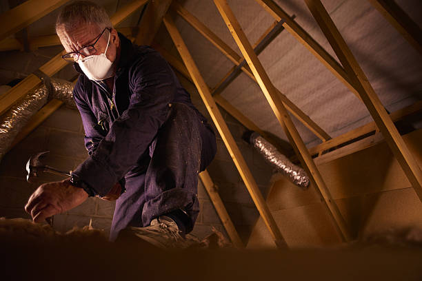 Best Local Insulation Services  in Angier, NC