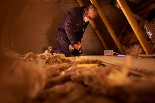 Best Wall Insulation Contractor  in Angier, NC
