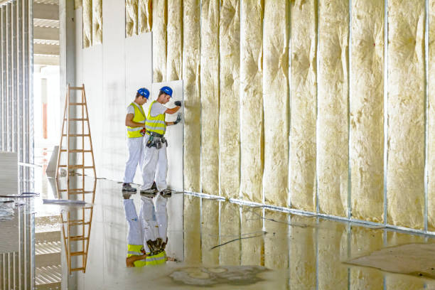 Best Insulation Replacement Services  in Angier, NC